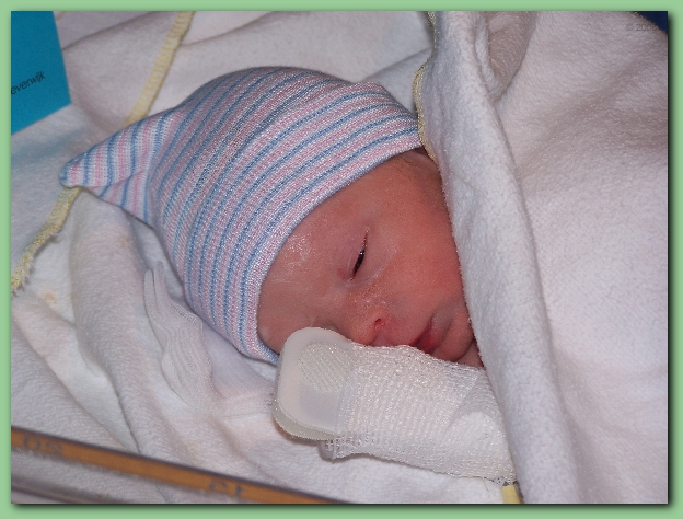 584x433 pixels (235K)